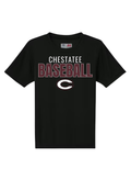 Chestatee Baseball Maroon & White Performance T-Shirt